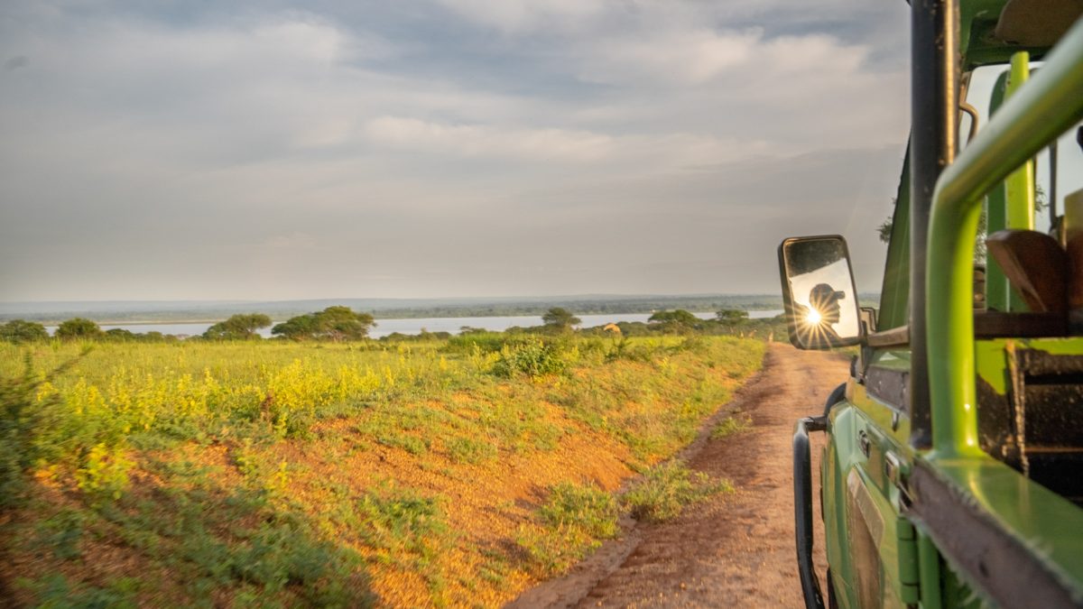 Uganda Safaris