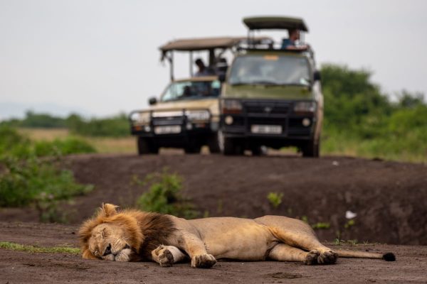 Long Uganda Safaris