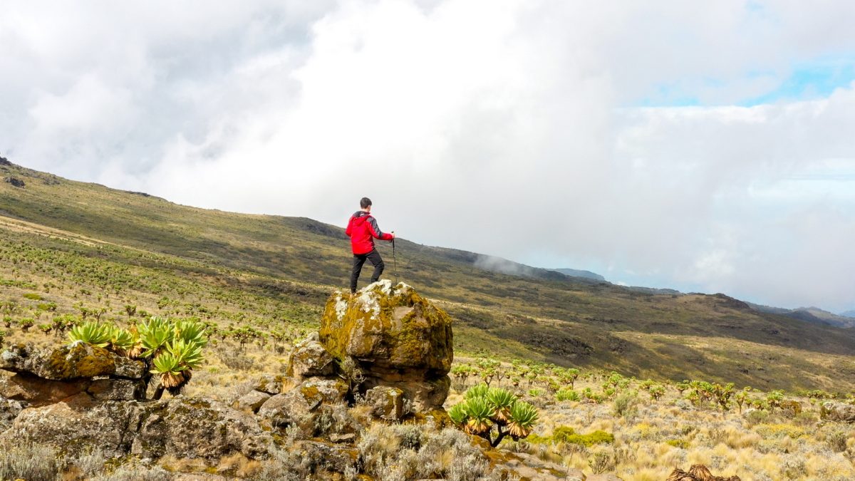 Hiking Safaris in Uganda
