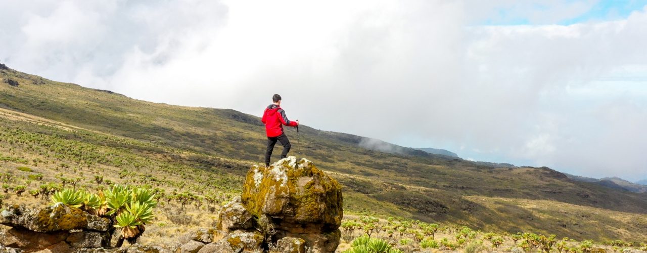 Hiking Safaris in Uganda
