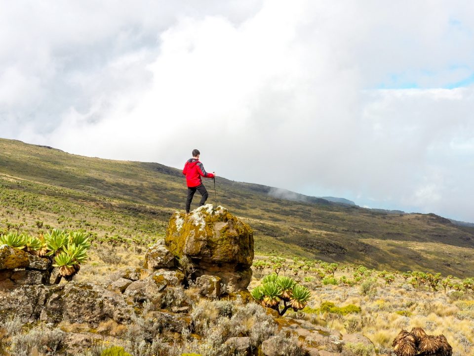 Hiking Safaris in Uganda