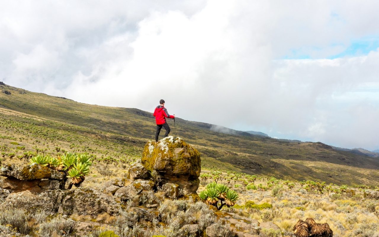 Mountain Elgon National Park 