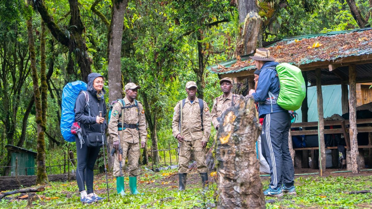 Is Gorilla Trekking in Rwanda Possible from the Netherlands?