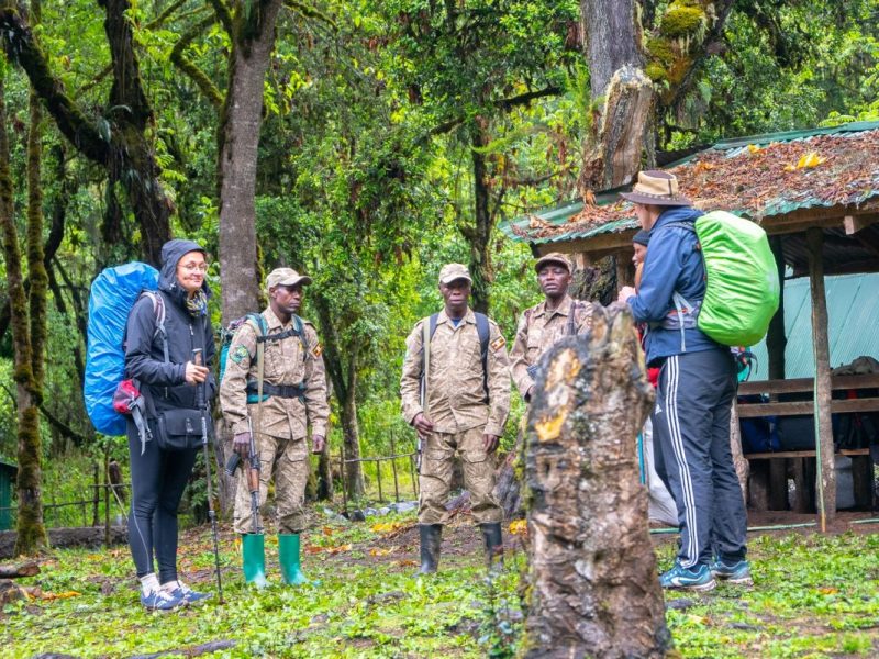 Gorilla Trekking from South Africa