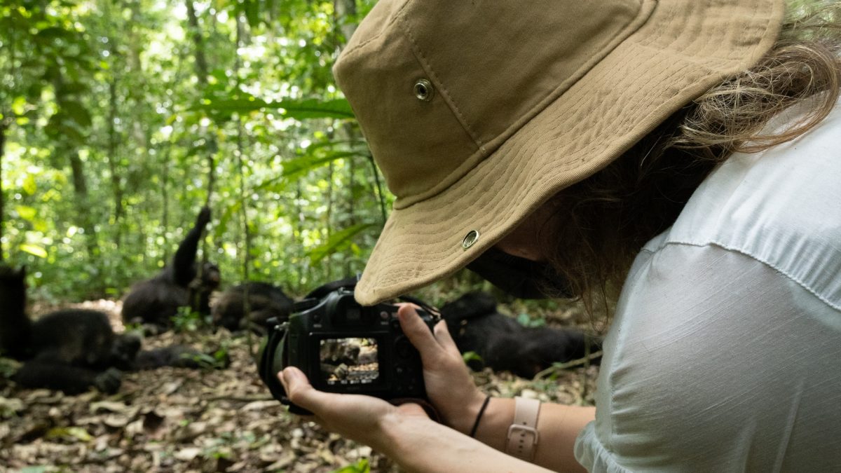 Africa Senior Tours