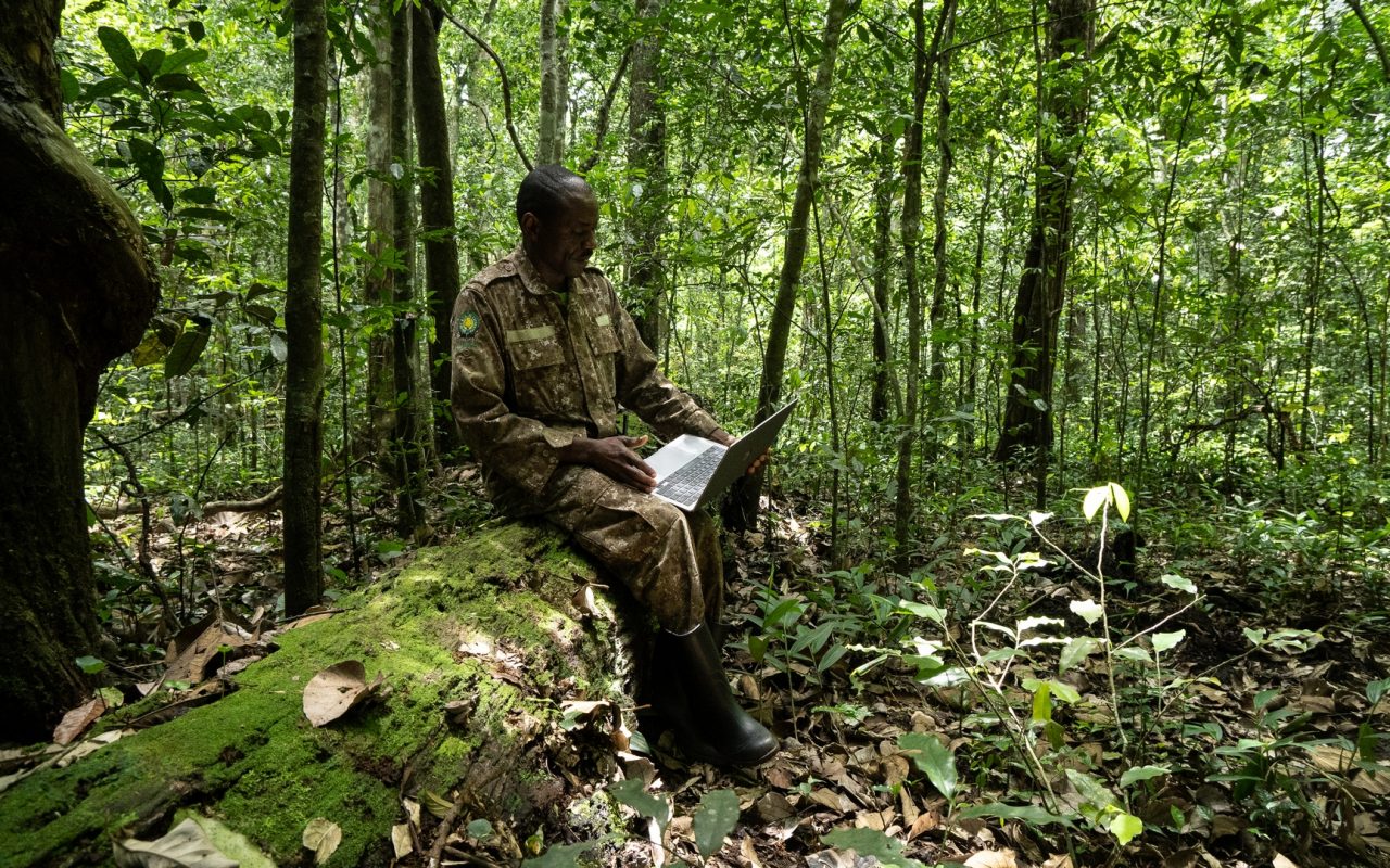 Budongo Forest Reserve