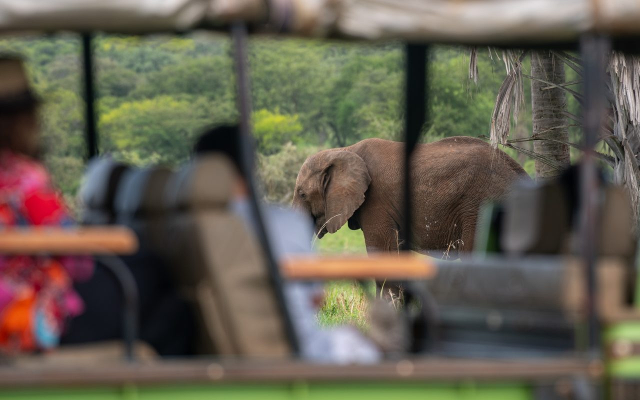 Akagera National Park