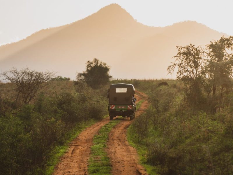 Long Uganda Gorilla Safaris