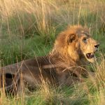 Best Time to Visit Rwanda