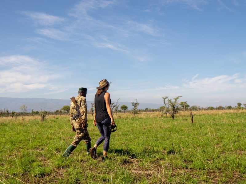 Shoebill Tracking in Mabamba Swamp Shoebill Tracking in Mabamba Swamp