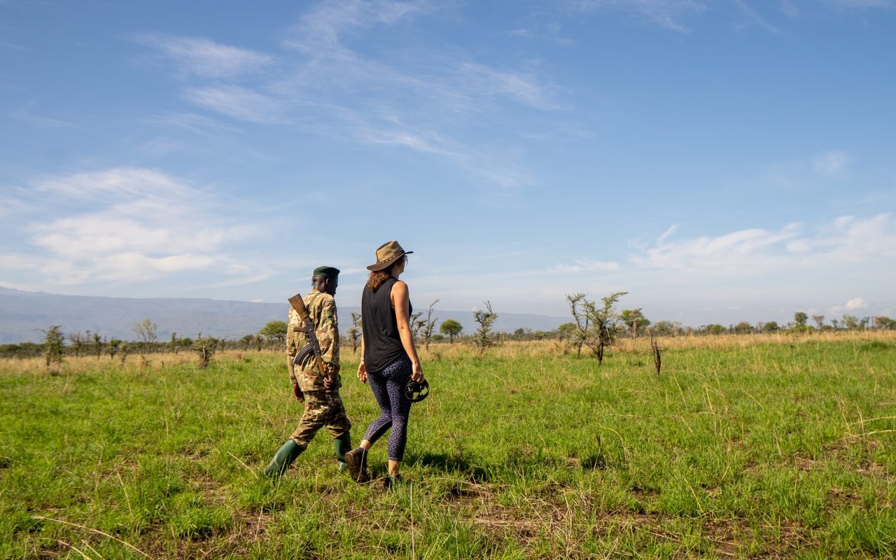 Shoebill Tracking in Mabamba Swamp
