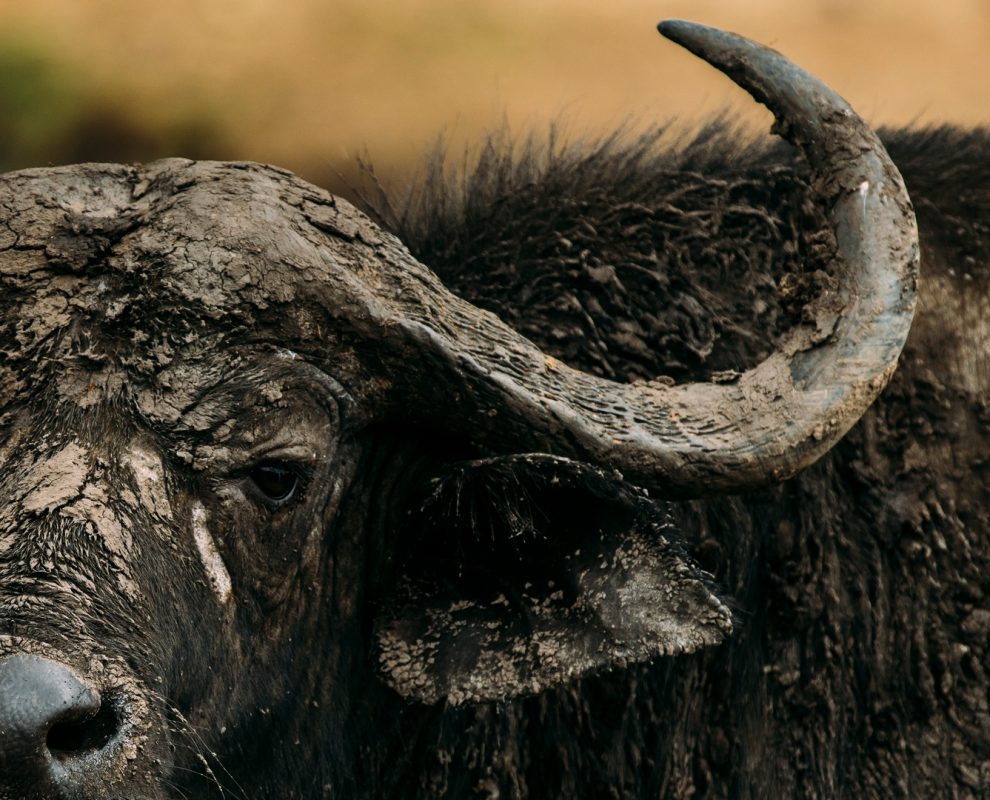 Chyulu Hills National Park