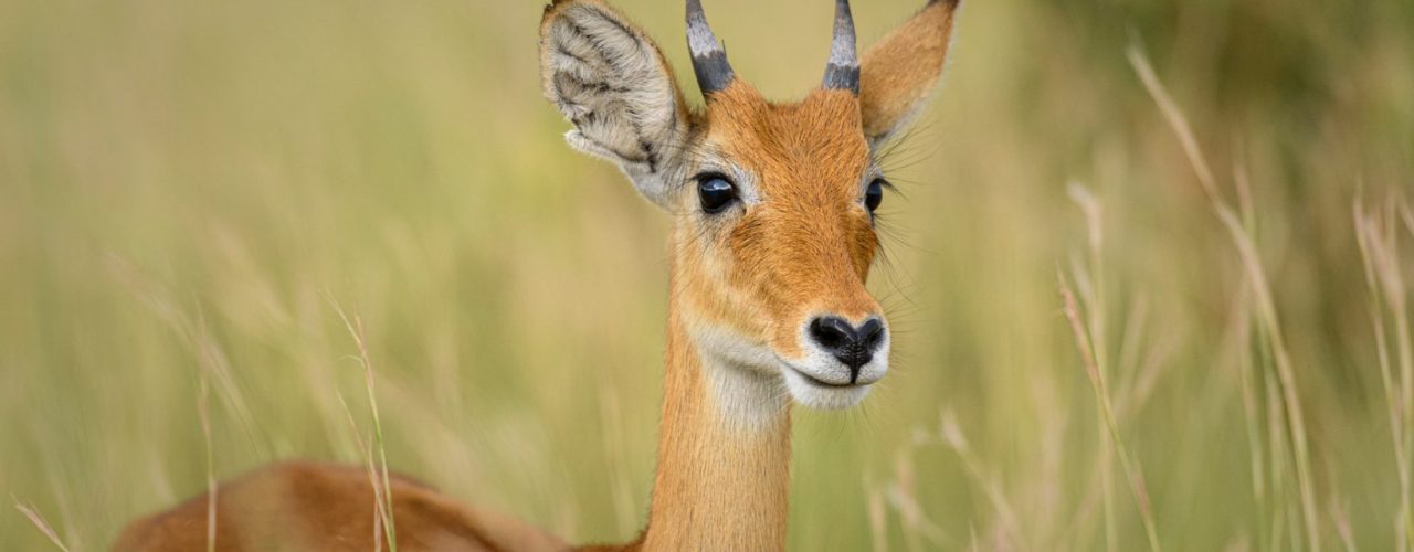 15 Best Things to Do in East Africa