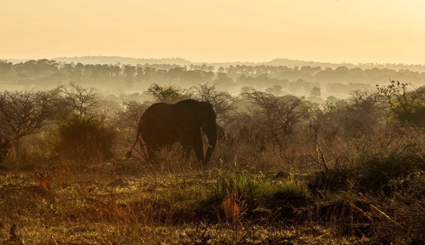 Chyulu Hills National Park