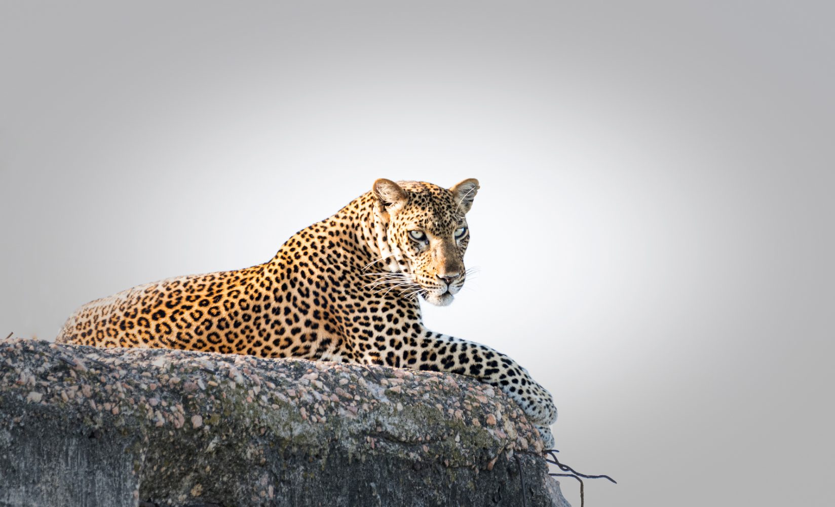 Mount Longonot National Park