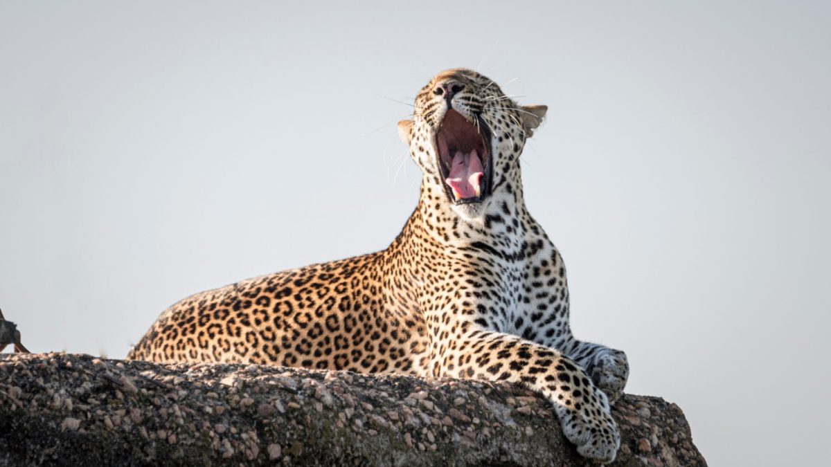 Kidepo Valley National Park