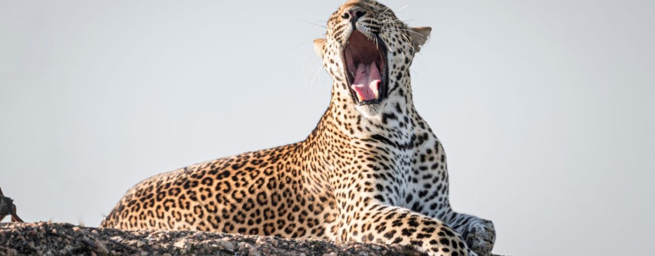 Kidepo Valley National Park