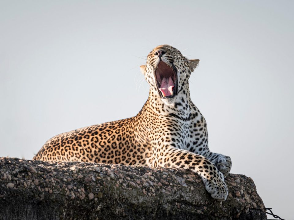 Kidepo Valley National Park