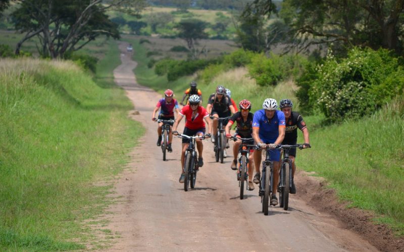 14-Day Ultimate Uganda Wildlife Safari