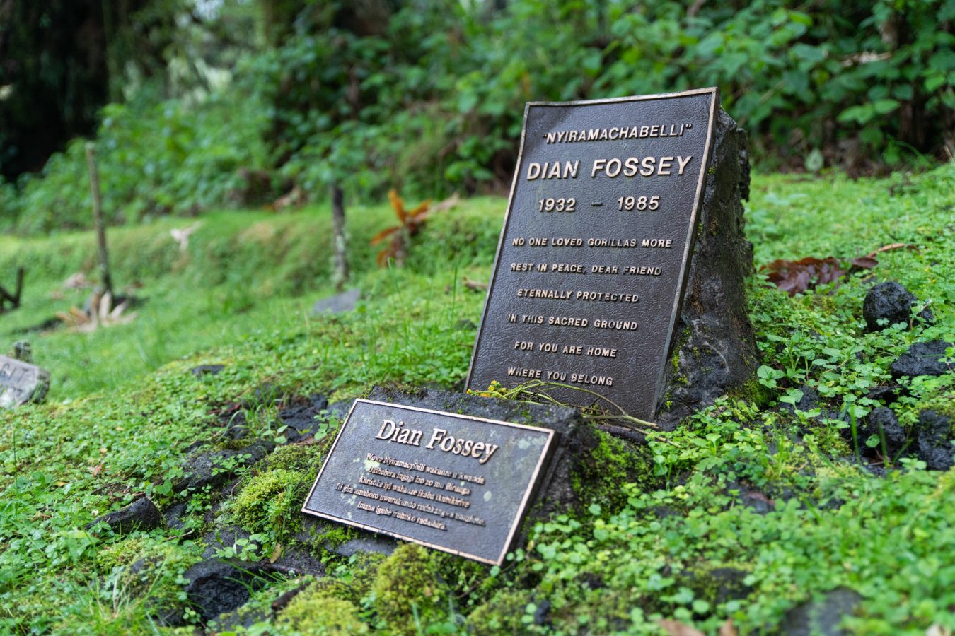 Dian Foossey's Grave in Volcanoes National Park