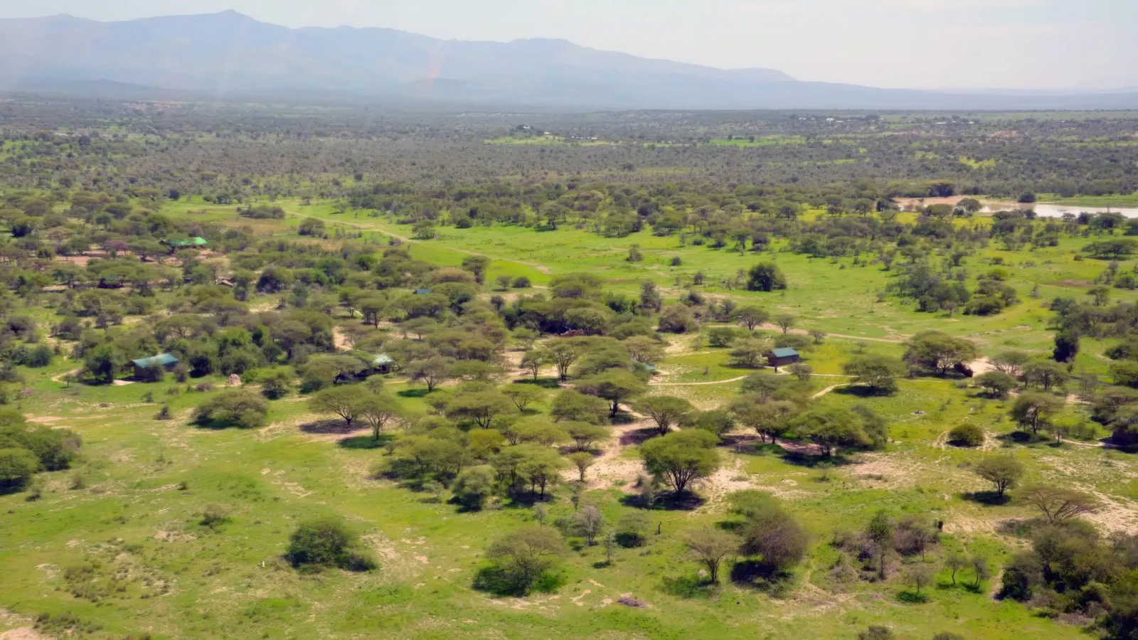 Meru National Park