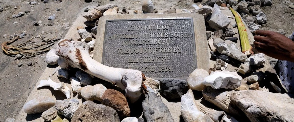 Olduvai Gorge Tanzania Travel Advice