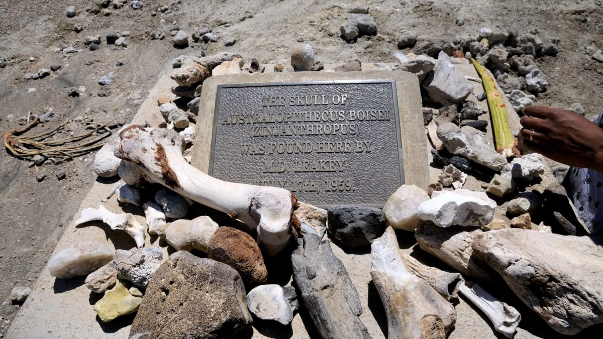 Olduvai Gorge Tanzania