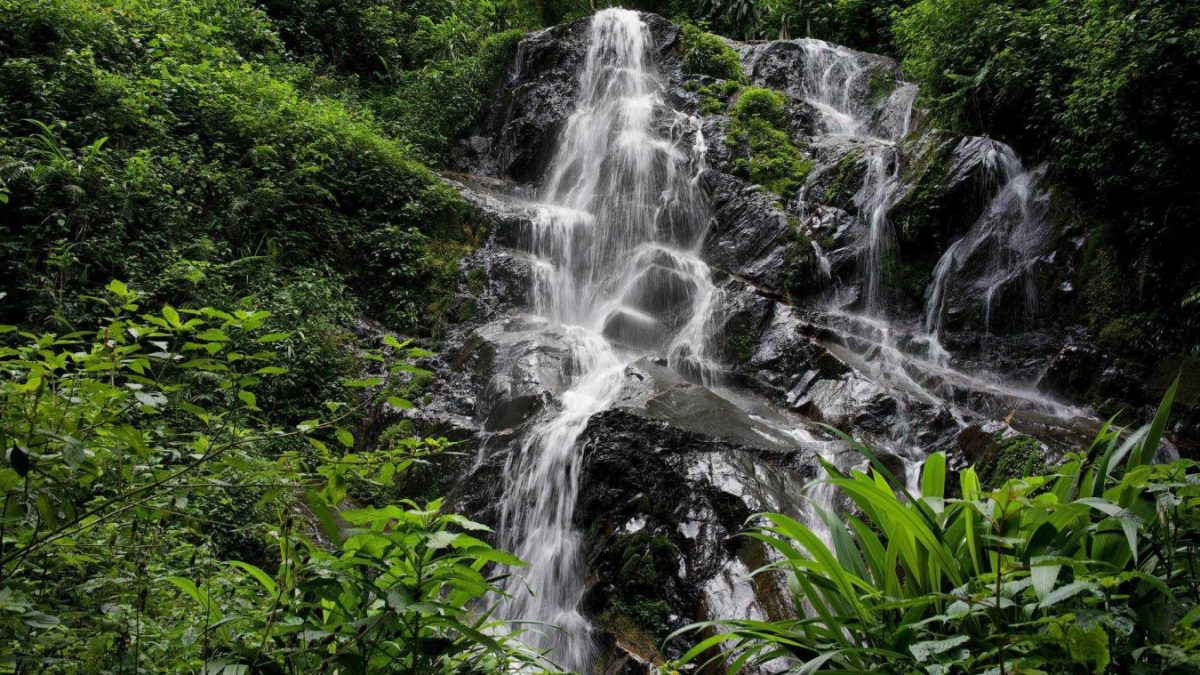 Waterfall Hikes in Nyungwe Forest