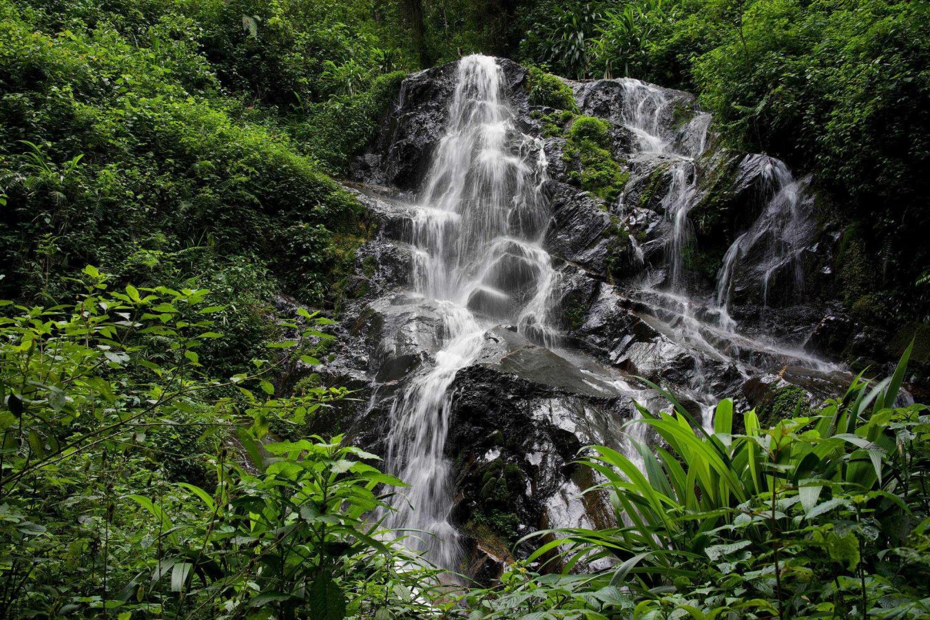 Waterfall Hikes in Nyungwe Forest 