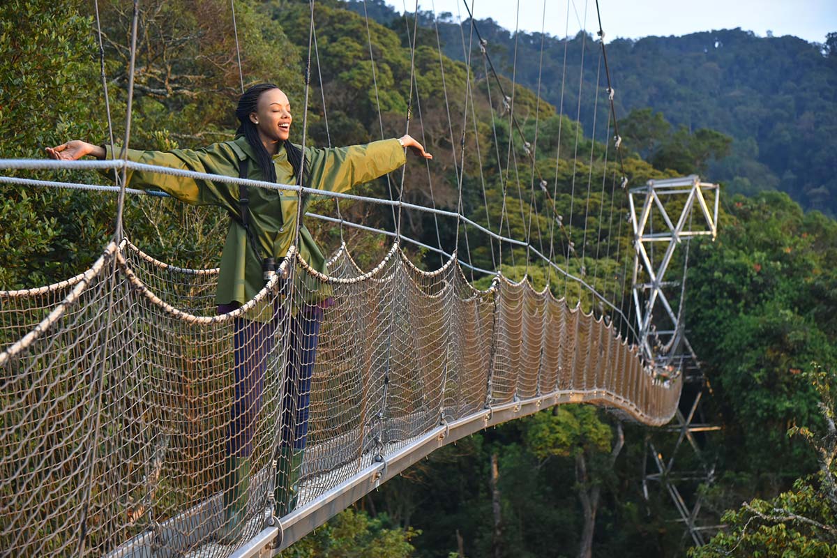 canopy walk in nyungwe forest National Park