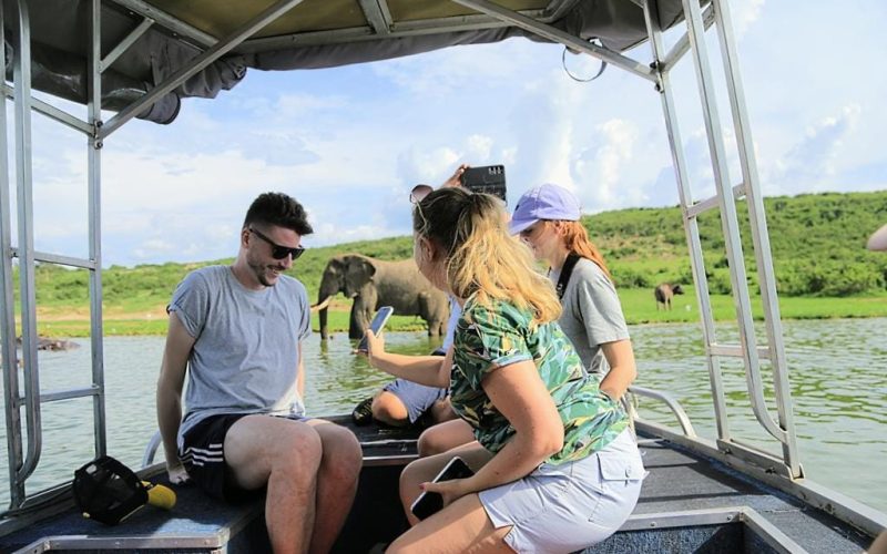 Rwanda Wildlife Safaris