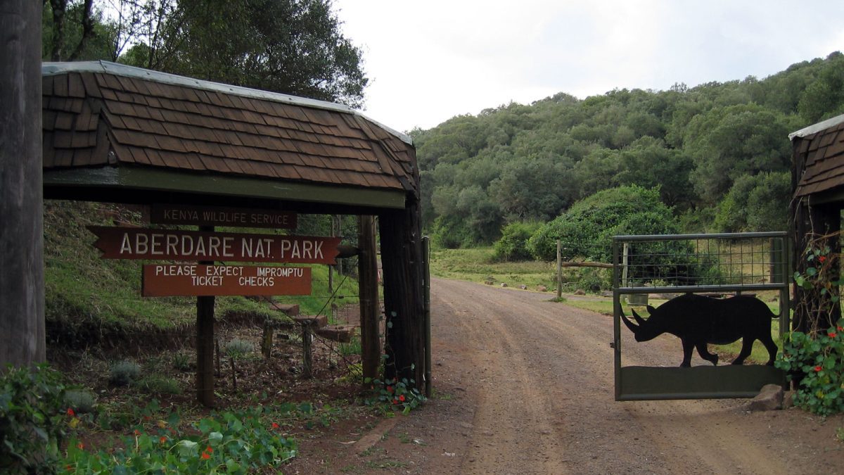 What Is a Fly-In Safari, and Is It Worth It?