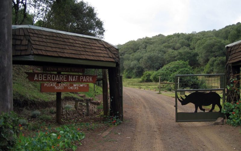 What Is a Fly-In Safari, and Is It Worth It?