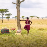 What Are the Best National Parks to Visit in Tanzania?