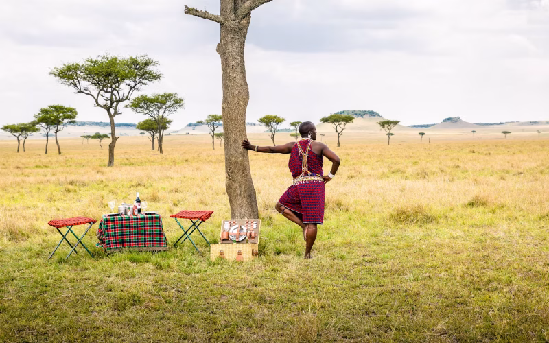 What Are the Best National Parks to Visit in Tanzania?