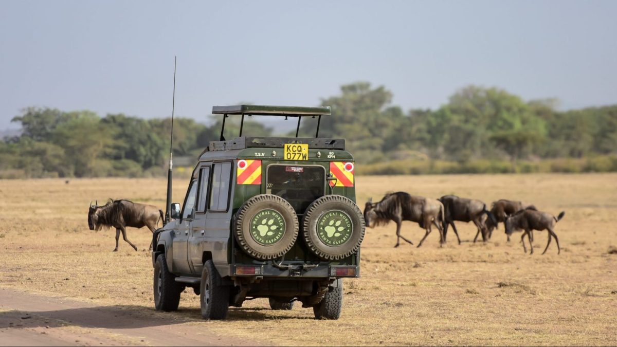 Kenya Uganda Rwanda 10-Day Tour