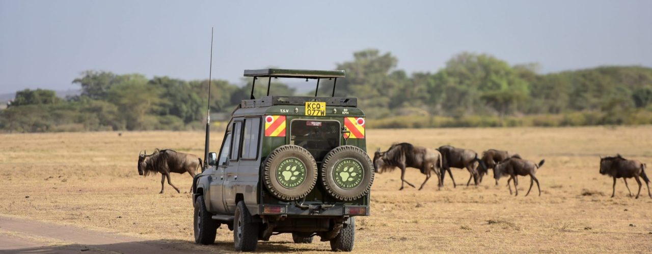 Kenya Uganda Rwanda 10-Day Tour