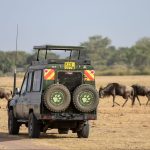 Kenya Uganda Rwanda 10-Day Tour