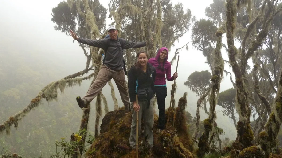Mount Bisoke
