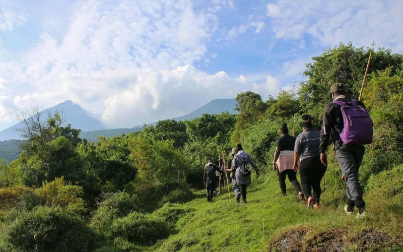 8-Day Rwanda Uganda Safari