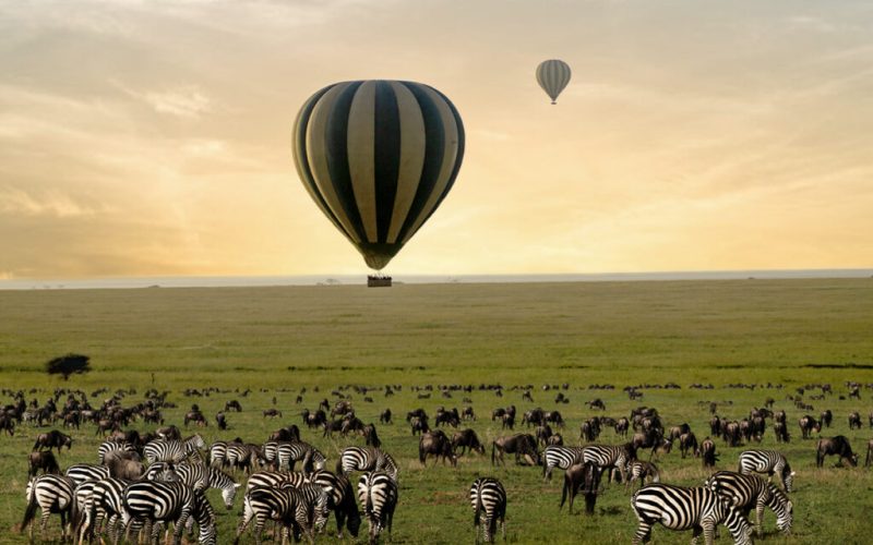 Kenya Uganda & Rwanda 16-Day Safari