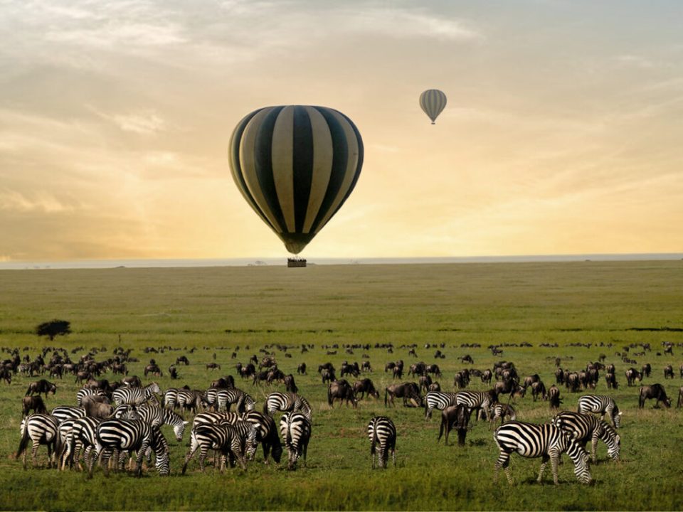 Is Gorilla Trekking in Serengeti National Park?