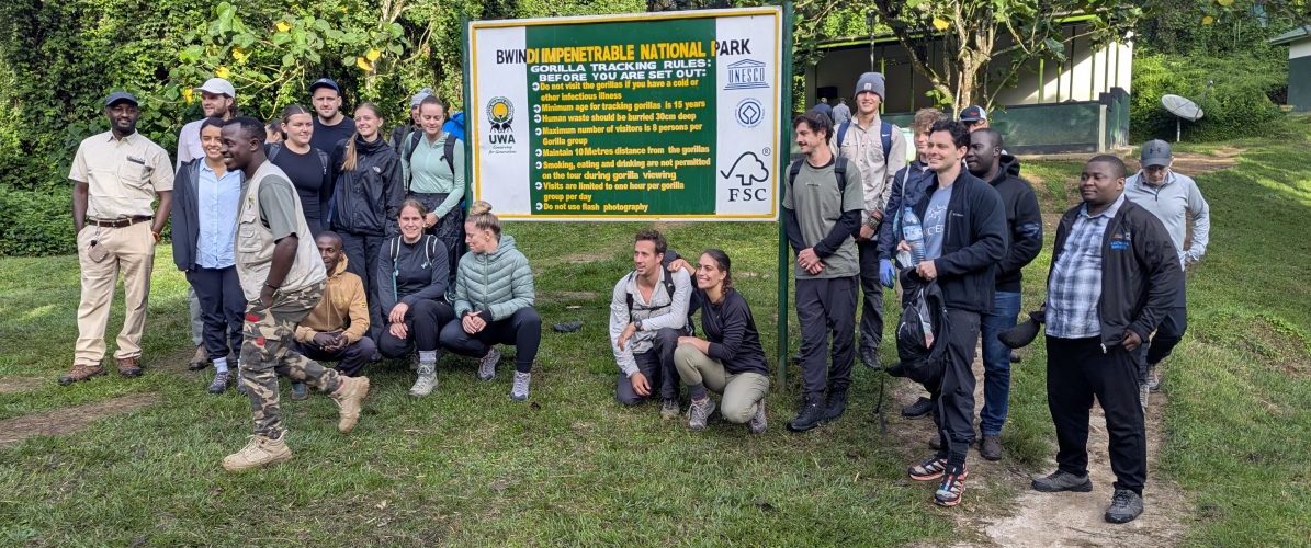 4 Days Gorilla Trekking Safari