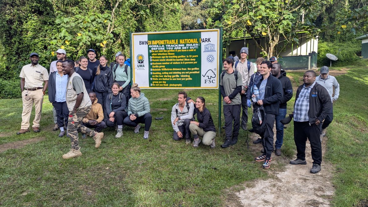 4 Days Gorilla Trekking Safari