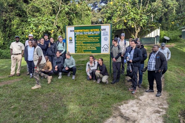 Gorilla Trekking in Uganda with a Kenya Safari