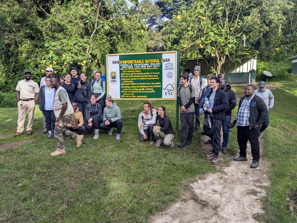 Gorilla Trekking in Uganda with a Kenya Safari
