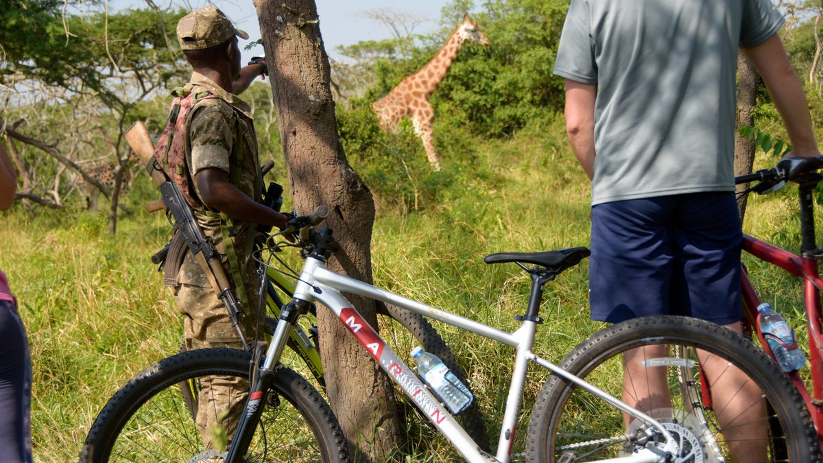 Cycling Safaris in Murchison Falls National Park
