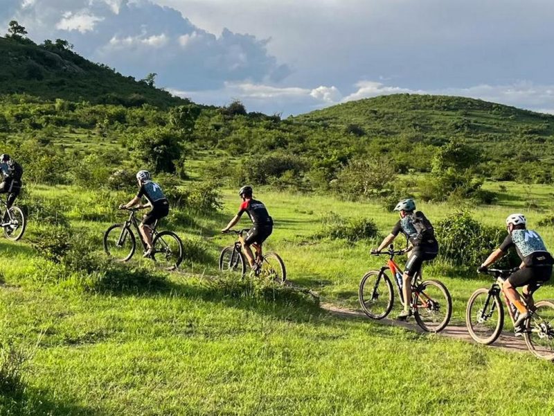Uganda Tours
