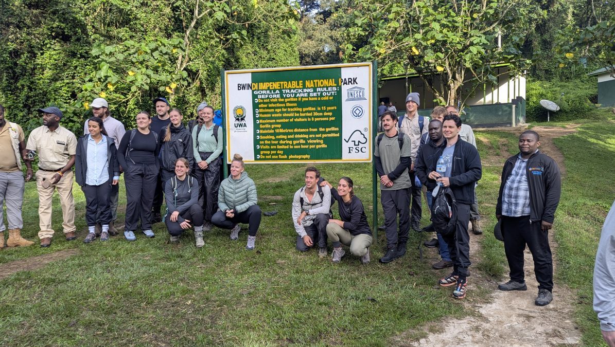 Is 3-Day Uganda Gorilla Trekking Possible from the United States?