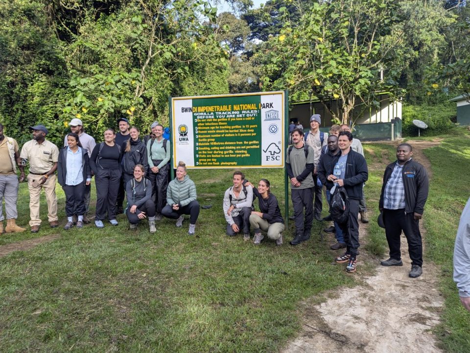 Is 3-Day Uganda Gorilla Trekking Possible from the United States?